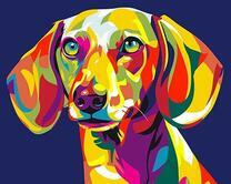 Такса в разных цветах