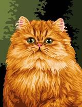 Большой рыжий кот