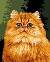 Милый рыжий кот