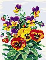 Красивые анютины глазки в букете