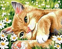 Рыжий котик среди ромашек