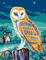 Сова на фоне звездного неба