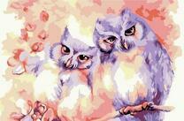 Две красочных совы на цветущей ветке дерева