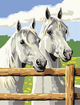 Две белые лошади в загоне