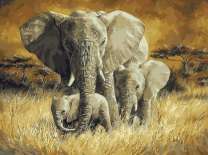 Милое семейство слонов