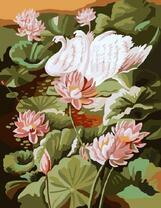 Лебеди в кувшинка