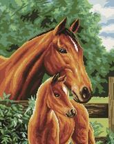 Лошади пасутся на природе