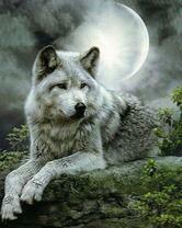 Серый призрак