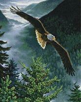 Орёл в горном ущелье