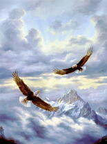 Пара орланов над тучами