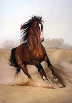 Стремительный галоп по пустыне