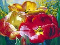 Три огромных тюльпана