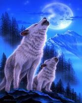 Волки в лунной ночи