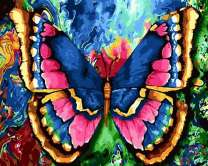 Пёстрая бабочка на ярком фоне