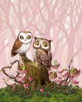 Сова и филин