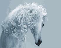 Кудрявая лошадь