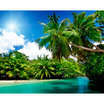 Залив в тени роскошных пальм