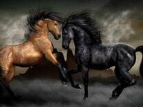 Лошадиные танцы