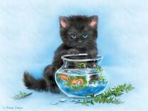 Черный котик