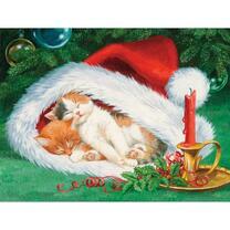 Два котёнка в шапке Деда Мороза