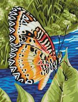 Бабочка у реки