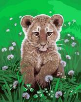 Милый львенок в цветущем клевере