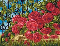 Кустовая роза у забора