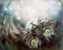 Выразительный взгляд котика