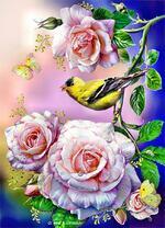 Песня для Розы