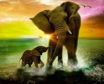 Слоновье купание