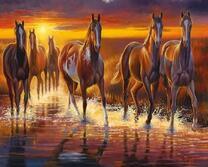 Лошади бегут по воде