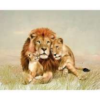 Милая семья львов