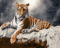 Отдых тигра на камне