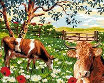 Коровы на летнем лугу в цветах