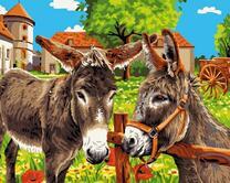 Милые ослики возле деревни