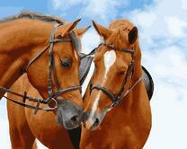 Пара лошадей 