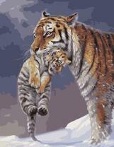 Тигрица переносит своего малыша