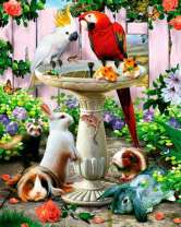Попугаи, кролики и хомячки у садового фонтана