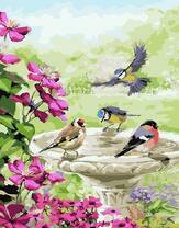 Птички у воды