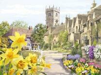 Двор с прекрасными нарциссами