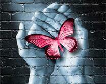 Яркая бабочка в ладонях