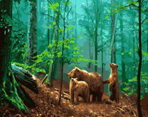 Медведи в лесу