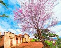 Цветущее дерево на фоне голубого неба