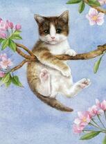 Котенок на ветке