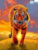 Тигр охотится на закате