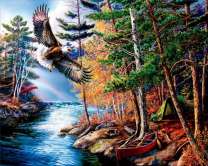 Полет орла над рекой и лесом