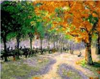 Зелёные и желтые деревья в городском парке