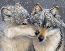 Серые волки под идущим снегом