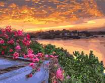 Прекрасный вид с вершины на закат