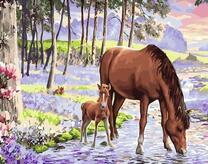 Лошадь и жеребенок у лесного ручейка